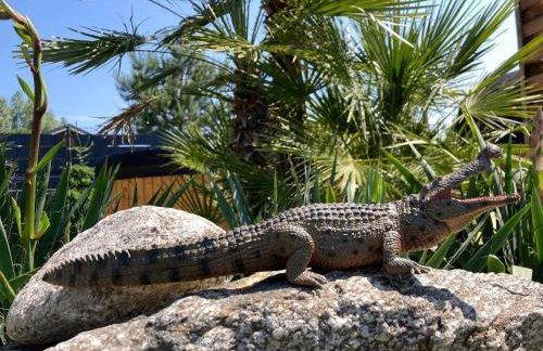 Eden Domki Kołczewo - Foto 7