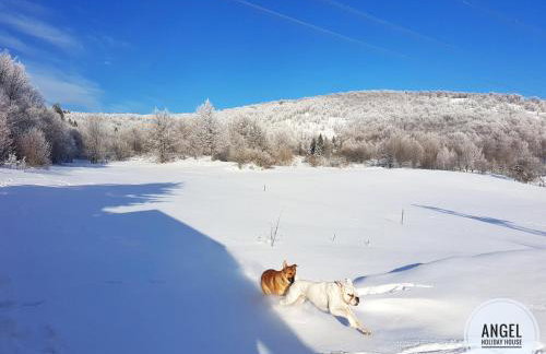 Angel Holiday House - Foto 48