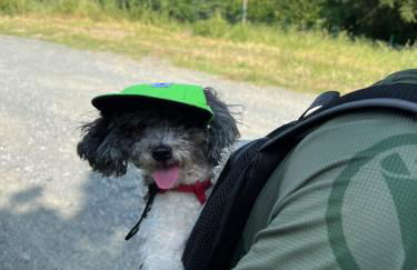 Agriturismo iOlive Tuscany appartamento Pendolino - Foto 34