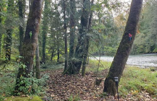 Tony's Riverside Oasis - Foto 30