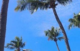 Alu Azul 2 - Foto 31