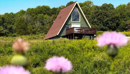 Breathtaking A-frame with Impressive Nature Views in Carbondale, Illinois - Foto 5