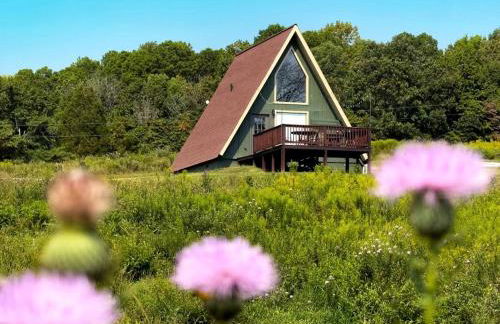 Breathtaking A-frame with Impressive Nature Views in Carbondale, Illinois - Foto 5