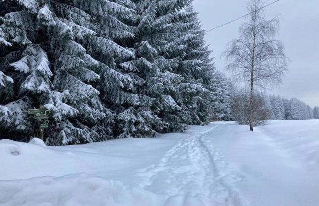 Gorgeous Holiday Home in Altenfeld Thuringia - Foto 70