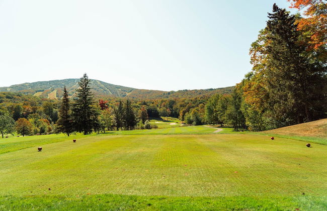 Long Trail House at Stratton Mountain Resort - Photo 23