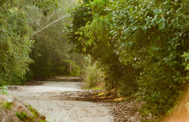 Tour por la playa de Itaguaré - Foto 7