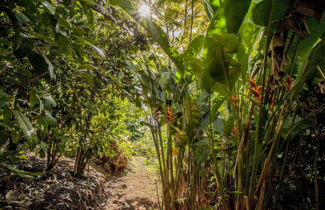 Eden on the River - Foto 39