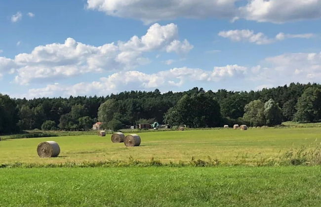 Feriendorf am Weinberg, Dobbrikow - Foto 70
