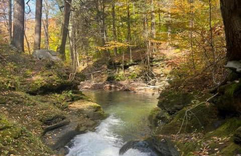 Spacious Cabin Rental next to Balsam Mountain in Upstate New York - Foto 12