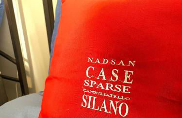 NadSan Case Sparse - Photo 27