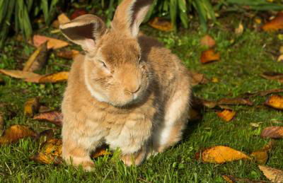 Room with a view - Photo 48