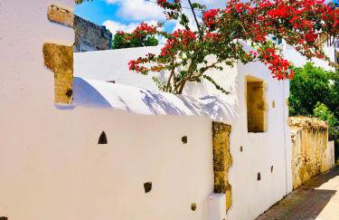 Avli Traditional Home with Private Jacuzzi - Foto 29