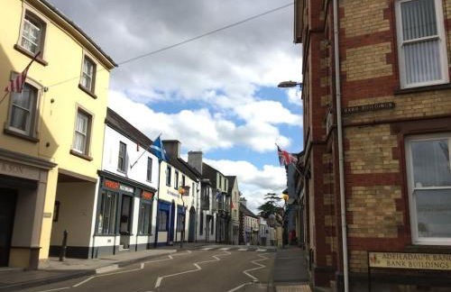 Quay Cottage Llandeilo - Photo 9