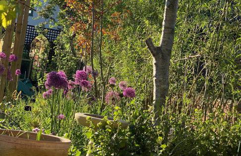 Eclectic Barn - Pergola & Dog-Friendly Garden - Photo 11