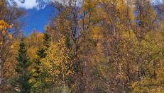 The Salmon Suite - Photo 2