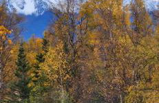 The Salmon Suite - Foto 2