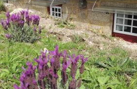 Casa do Rancho - Turismo Rural - Foto 125