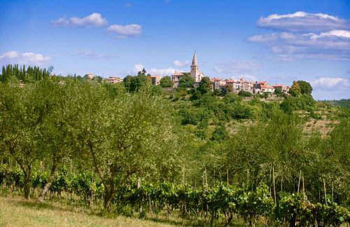 Funtana in Grožnjan (Haus für 2-3 Personen) - Foto 22