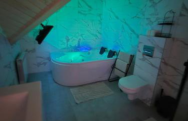 Apartament z prywatną wanną z hydromasażem - U Parów - Foto 31