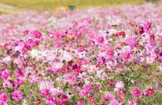 Villa Cinsault, un bijou pour votre séjour en Provence Verte - Foto 23