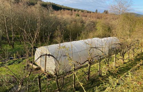 Beautiful Listed Mansion with incredible woodland views - Photo 70