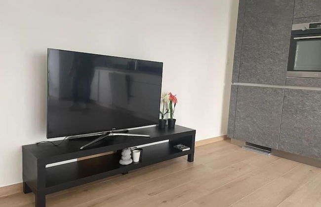 New 1 bedroom in City Center- Terrace - Photo 5