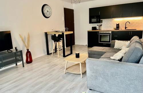 Appartement cosy à Nancy - Parking privé - Foto 4