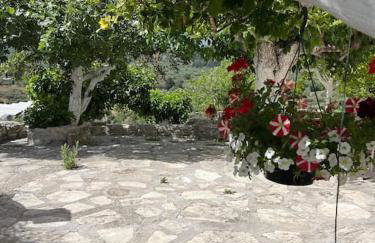 Vrysses Lodge Michael Stelianos - Foto 17