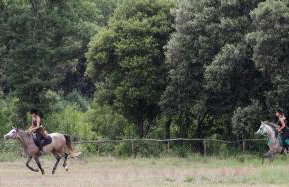 Apartment Fioretti - Photo 37