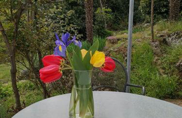 Apartman MARIJETA - Foto 6