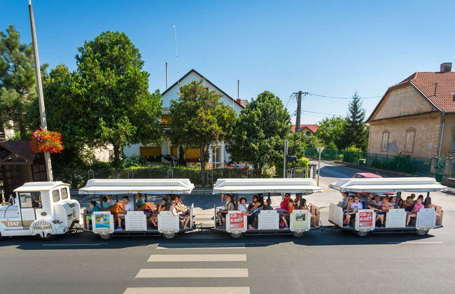 Lake Balaton Full-Day Trip - Foto 9