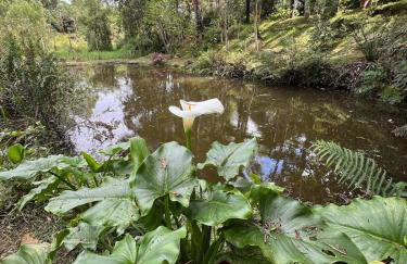 Casa das Hortências - Foto 13
