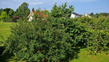 Großes Gruppenhaus nahe LEGOLAND 6 Schlafzimmer Parkplatz & WLAN - Foto 3, Garden view