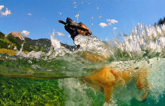 Holiday Village Prabichl, Vordernberg - Foto 31