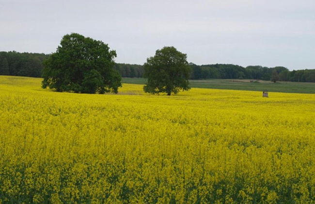 Appartement mit Fantastischer Aussicht - Foto 24