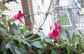 Vittadinisette - Foto 9