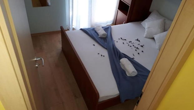 Mediteran - Private Parking - A1 - Foto 4, Habitación