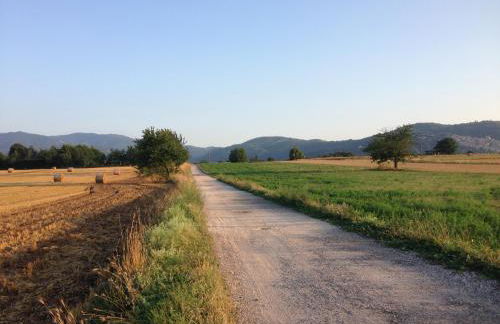 Dreams Valley - Foto 68