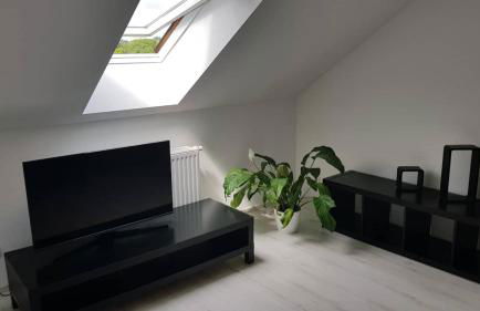 M I S T E R B A L E S Ferienwohnung Zittau Bahnhofsnähe - Foto 8