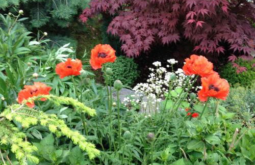 Ferienhaus Bergwiese - Foto 29