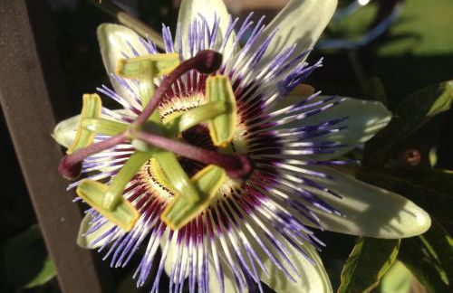 Hotel Rural Robles - Foto 7