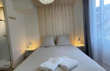 Luxueux T2 lumineux unique Saint Claude - Foto 4