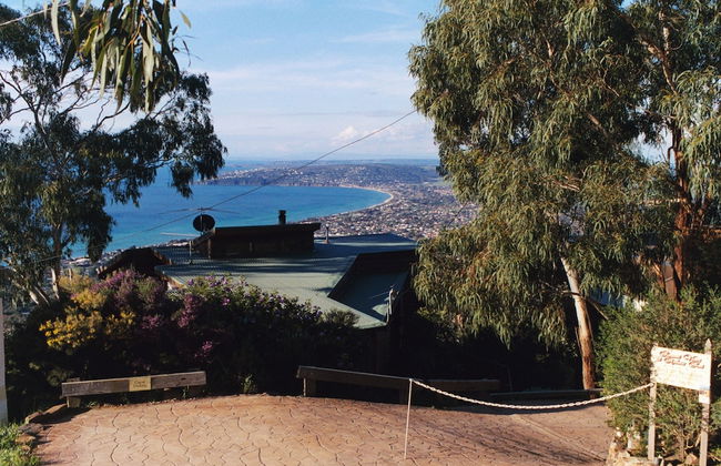 Summit Views - Photo 17