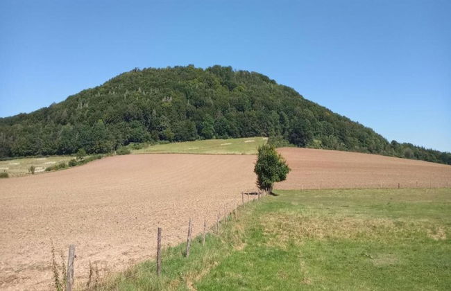 Wohnung in Hoxter Nahe Schloss Corvey - Foto 11
