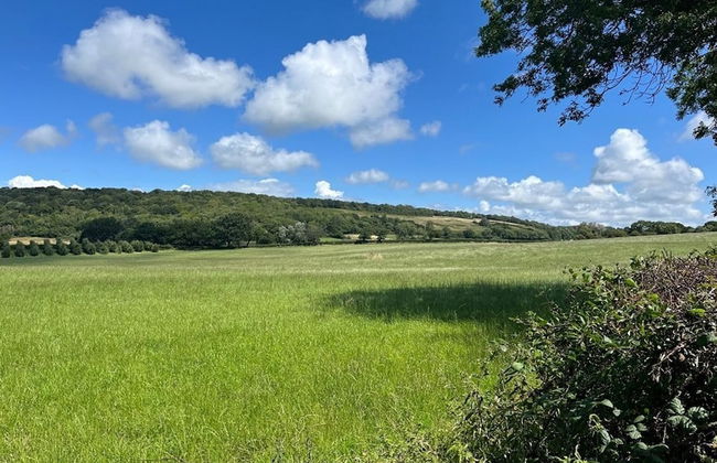 Relaxing Studio - Sauna - Luxe Bed - Pet-friendly - Foto 16