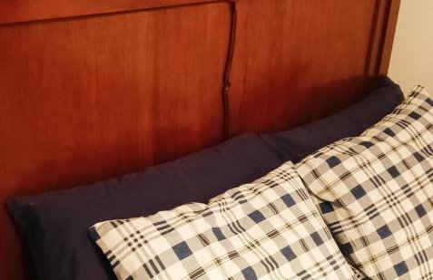 Gniazdo w Felicjanowie - Foto 24