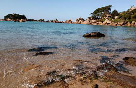 La Demeure du Figuier - Foto 56