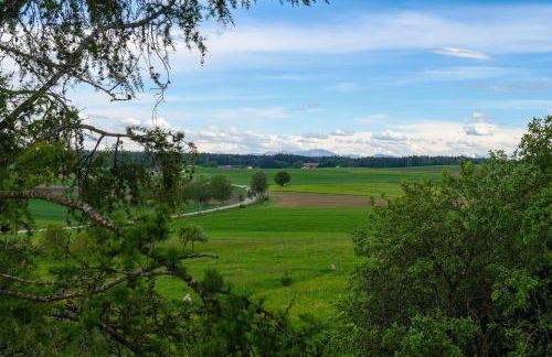 Roger`s Ferienwohnung - Foto 11