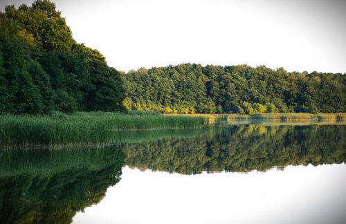Wrzosowy Młyn - Twoje miejsce nad Jeziorem - Foto 62