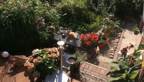 Schwalbennest_ Silke Felix - Foto 5